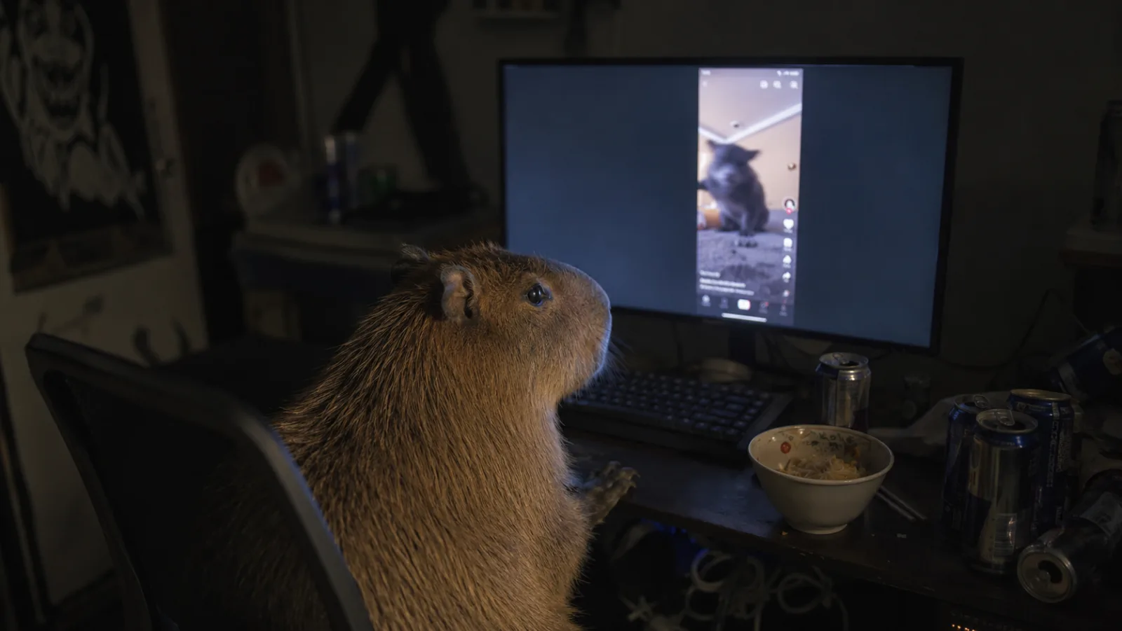 Capybara care illustration with water plans, vegetables, enclosure notes, and husbandry checklist