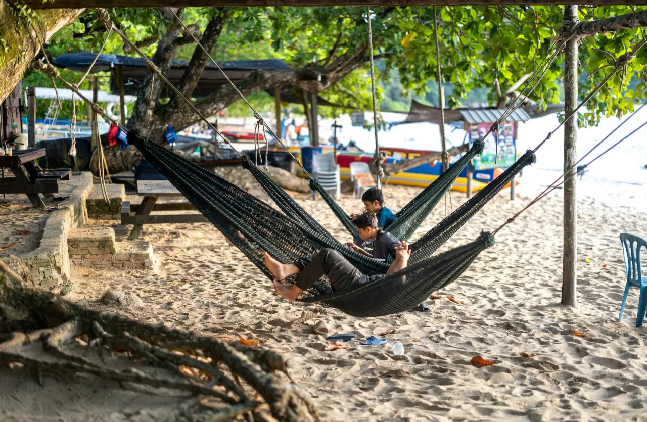 Empty hammocks strung between trees on a sunny beach with calm water in the background
