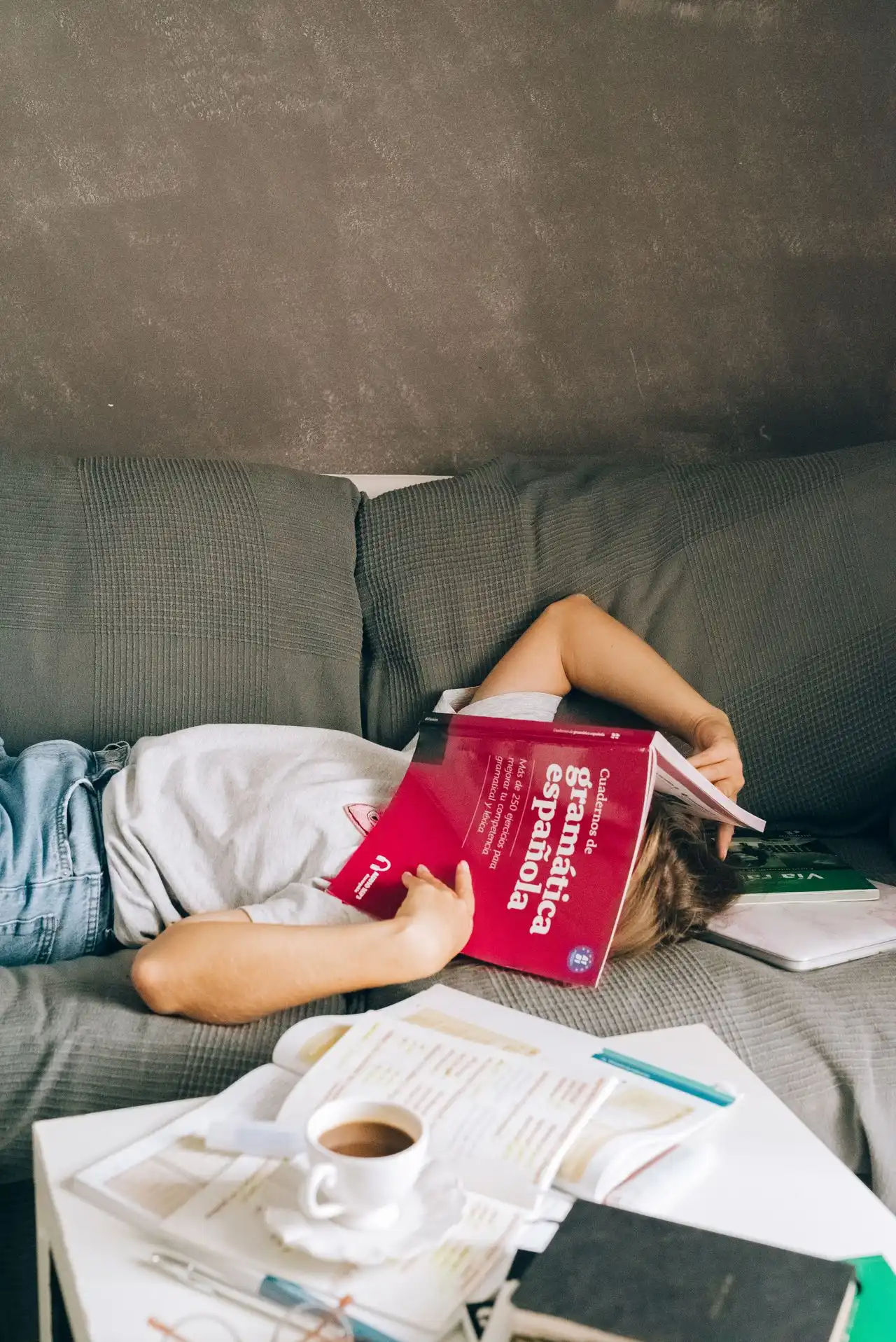 Person lying on a couch with a book for a National Lazy Day capybara guide