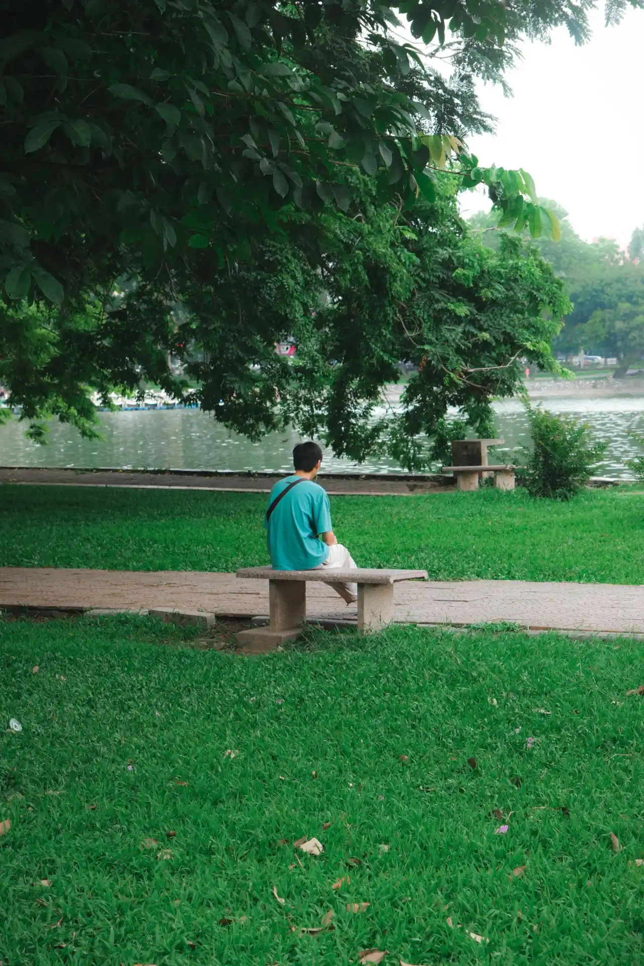 Person sitting alone by water as a quiet reminder to pause before exotic pet permits
