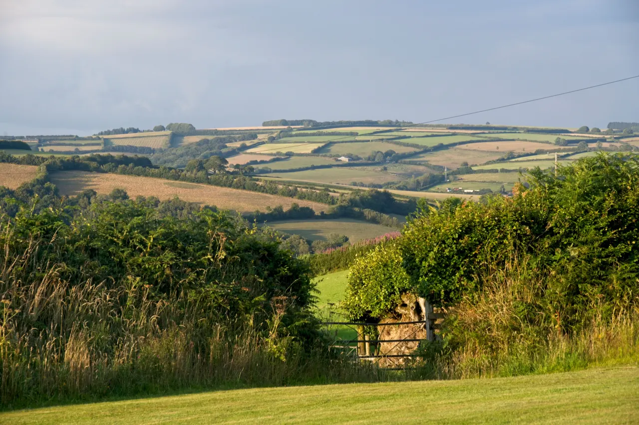 Hedged patchwork fields rolling into the distance near Winsford on Exmoor, with a wooden field gate set into the hedge in the foreground